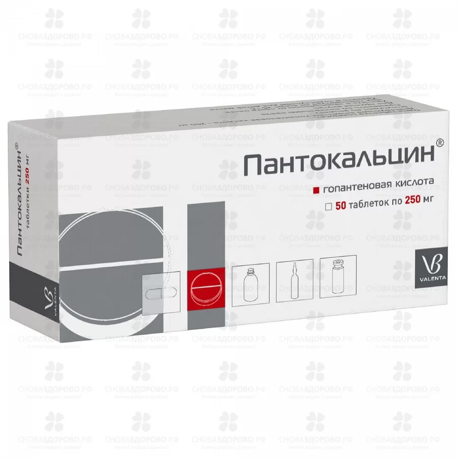 Пантокальцин таблетки 250мг №50 ✅ 06521/06085 | Сноваздорово.рф