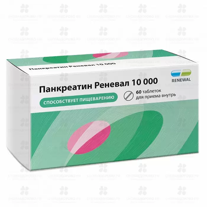 Панкреатин Реневал 10000 таблетки кишечнорастворимые покрытые пленочной оболочкой 10000ЕД №60 ✅ 38950/06158 | Сноваздорово.рф