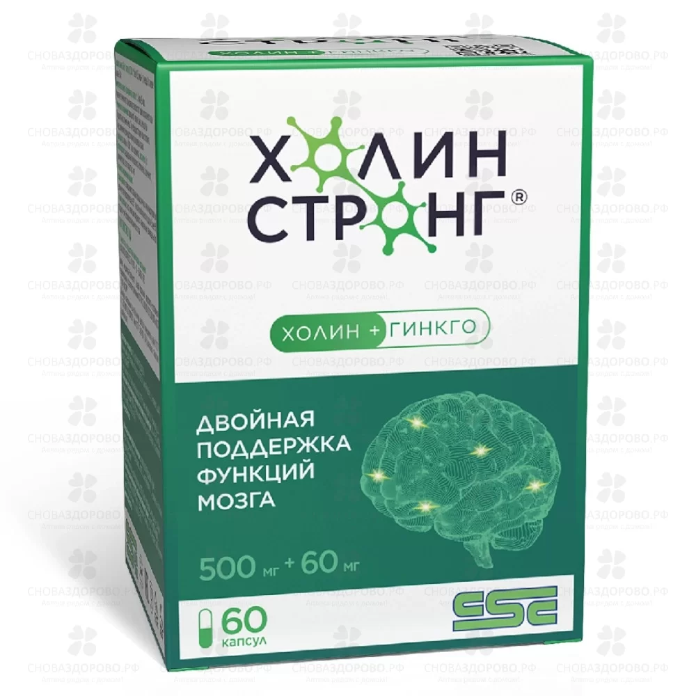 Холин Стронг капсулы 0,588г №60 (БАД) ✅ 42116/06912 | Сноваздорово.рф