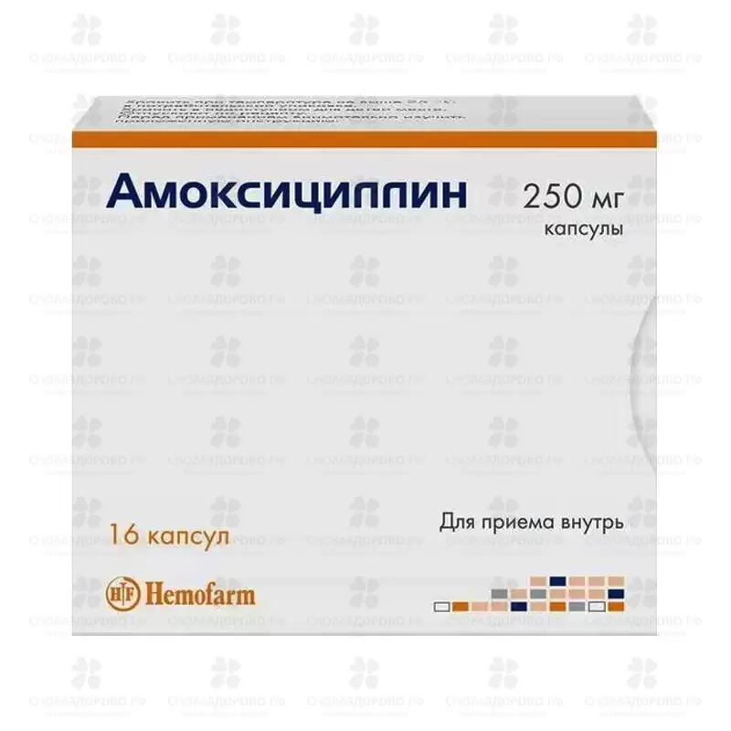 Амоксициллин капсулы 250мг №16 (Хемофарм) ✅ 15639/06056 | Сноваздорово.рф