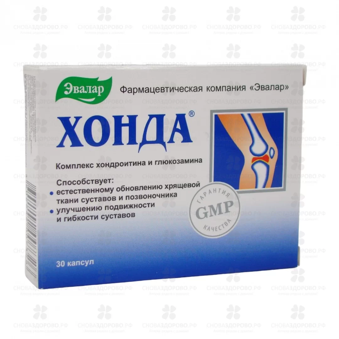 Хонда капсулы 350мг №30 (Эвалар) (БАД) ✅ 26121/06218 | Сноваздорово.рф