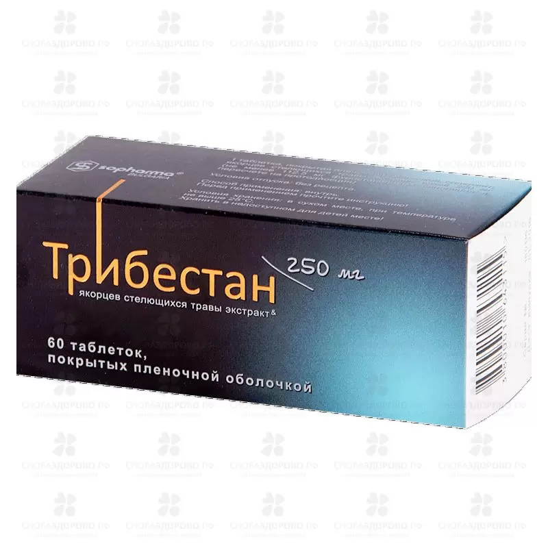 Трибестан таблетки покрытые пленочной оболочкой 250мг №60 ✅ 17612/06894 | Сноваздорово.рф