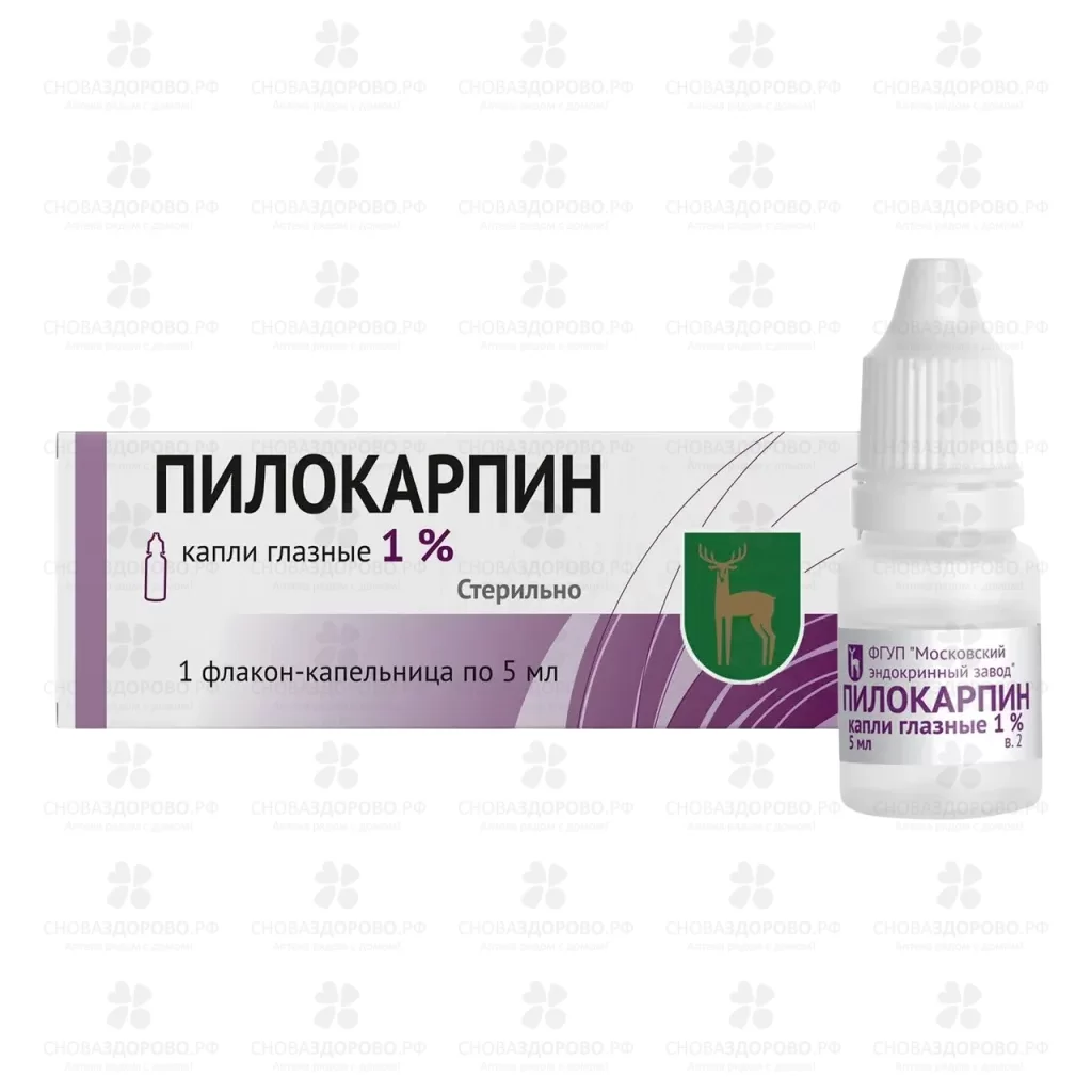 Пилокарпин капли глазные 1% фл./кап. 5мл ✅ 08733/06835 | Сноваздорово.рф