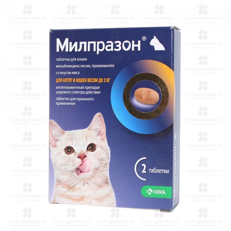 СноваЗдорово.рф: Милпразон таблетки 4мг/10мг №2 (для котят и кошек до 2кг)