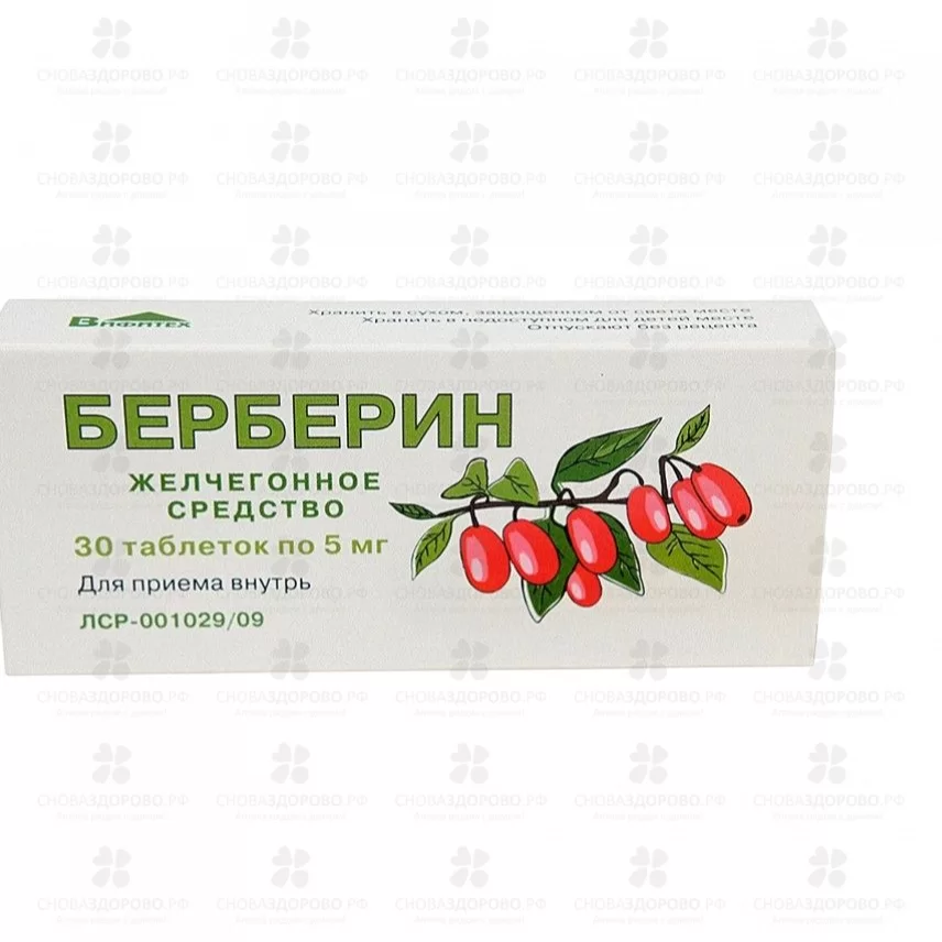 Берберин таблетки 5мг №30 ✅ 40689/06737 | Сноваздорово.рф