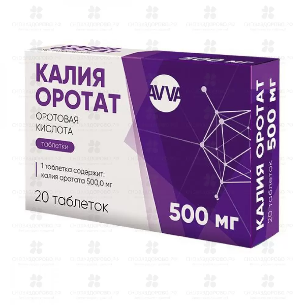 Калия оротат таблетки 500мг №20 ✅ 04656/06064 | Сноваздорово.рф