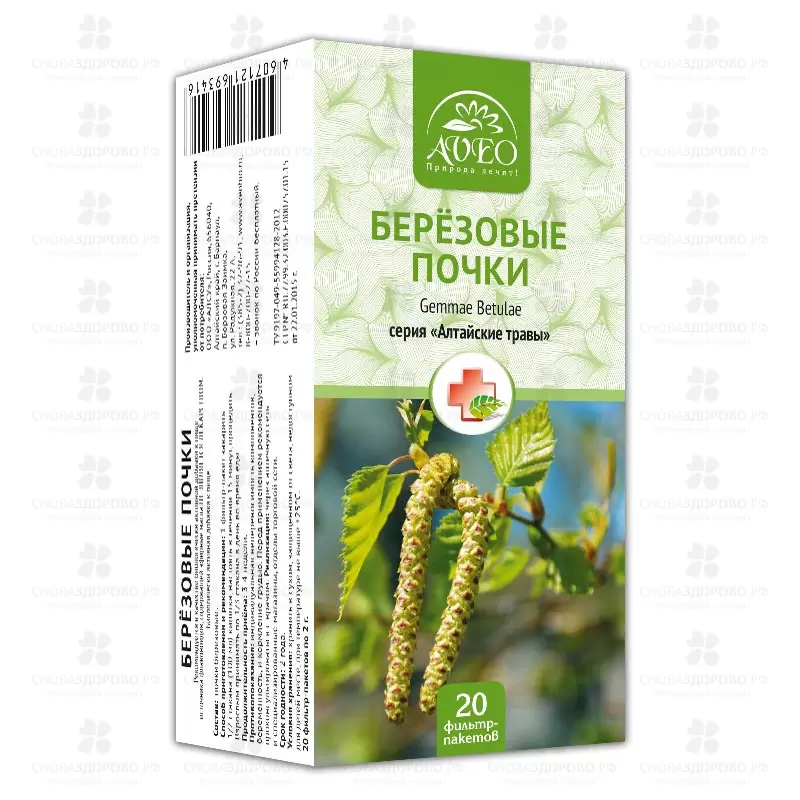 Березовые почки ф/п 2г №20 (БАД) ✅ 11075/06698 | Сноваздорово.рф