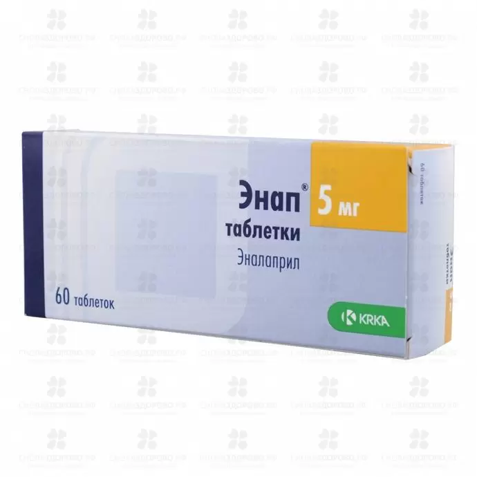Энап таблетки 5 мг №60 ✅ 25329/06133 | Сноваздорово.рф