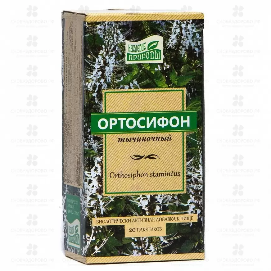 Почечный чай ф/п 1,5г №20 (ортосифон тычиночный) БАД ✅ 32421/06261 | Сноваздорово.рф