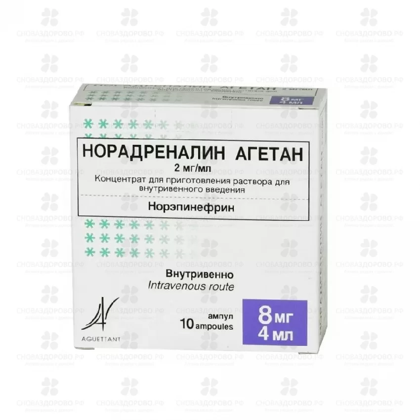 Норадреналин Агетан концентрат для приготовления раствора для внутривенного введения 2мг/мл 4мл ампулы №10 ✅ 20001/06997 | Сноваздорово.рф