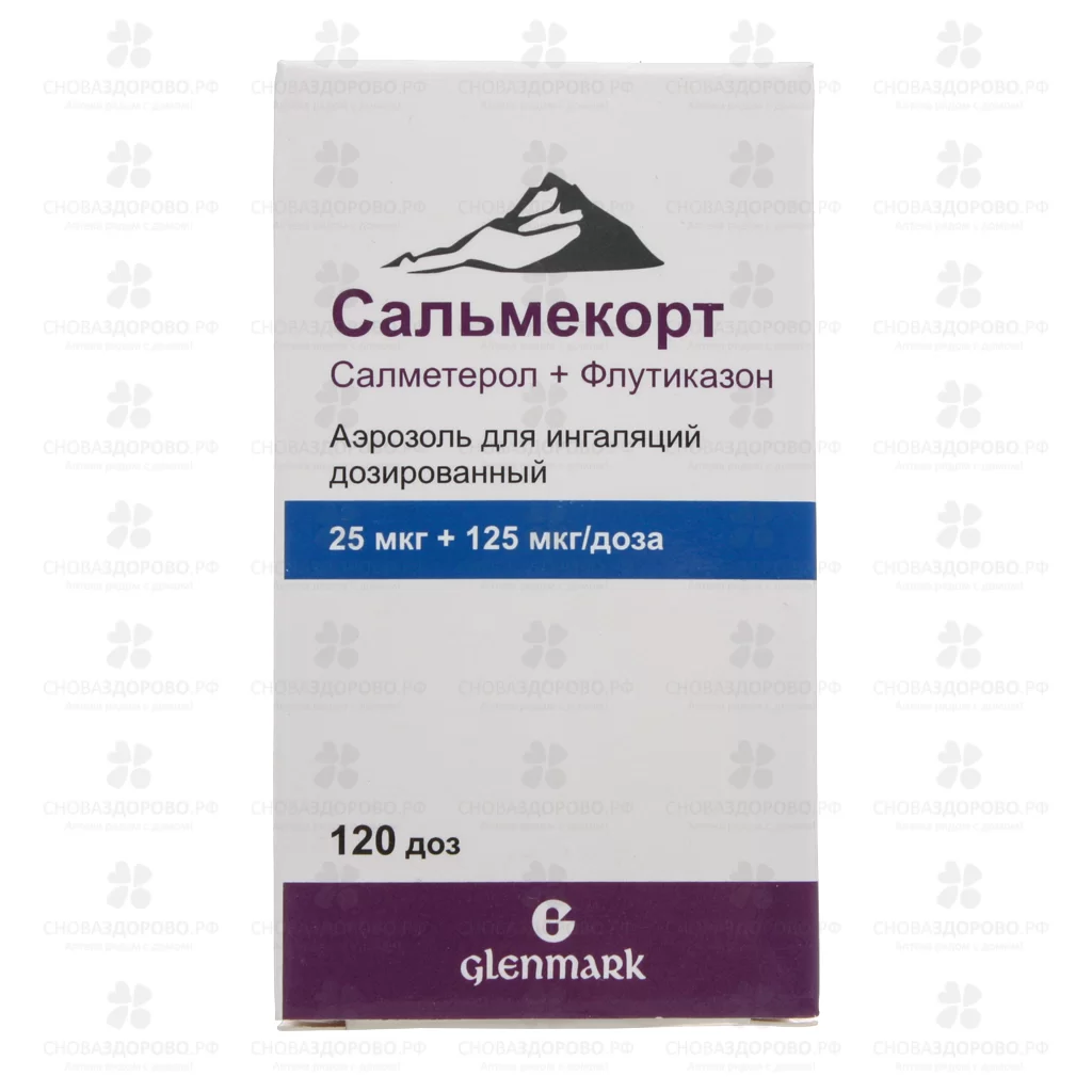 Сальмекорт аэрозоль для ингаляций дозированный 25мкг+125мкг/доза 120 доз №1 ✅ 26711/06746 | Сноваздорово.рф