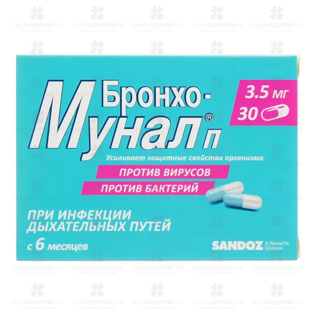 Бронхо-мунал П капсулы 3,5мг №30 ✅ 16877/06154 | Сноваздорово.рф