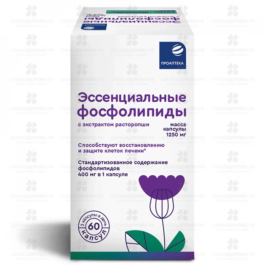 ПроАптека Эссенциальные фосфолипиды с экстрактом расторопши и витаминами группы В капсулы 1250мг №60 (БАД) ✅ 42318/06864 | Сноваздорово.рф