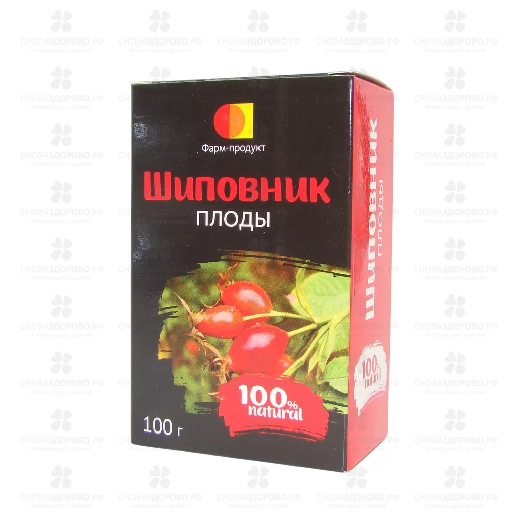 Шиповник плоды 100г (БАД) ✅ 06699/06910 | Сноваздорово.рф