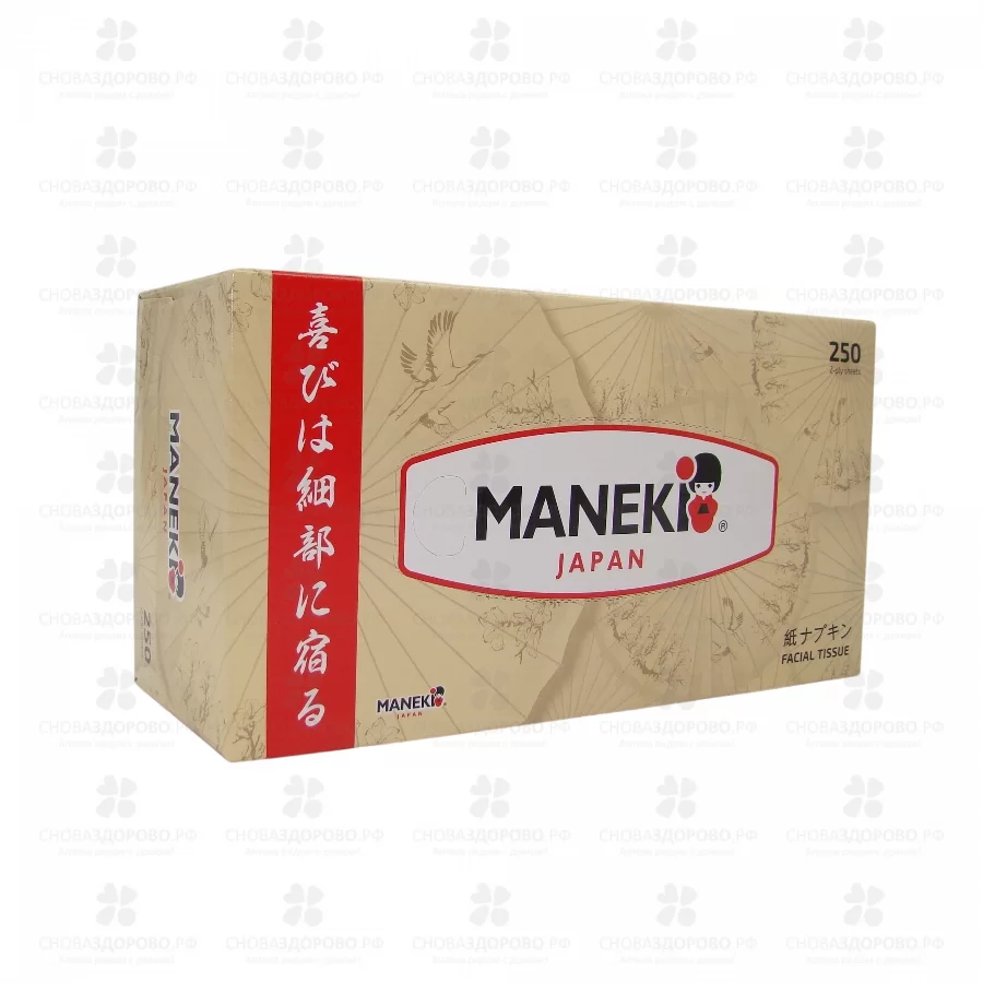 Салфетки бумажные МАНЕКИ 2-х сл. №250 (коробка) ✅ 10767/06995 | Сноваздорово.рф