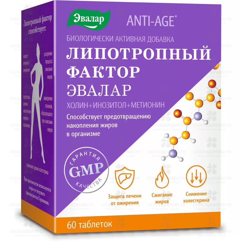 Липотропный фактор таблетки 1,2г №60 (БАД) Эвалар ✅ 34452/06218 | Сноваздорово.рф