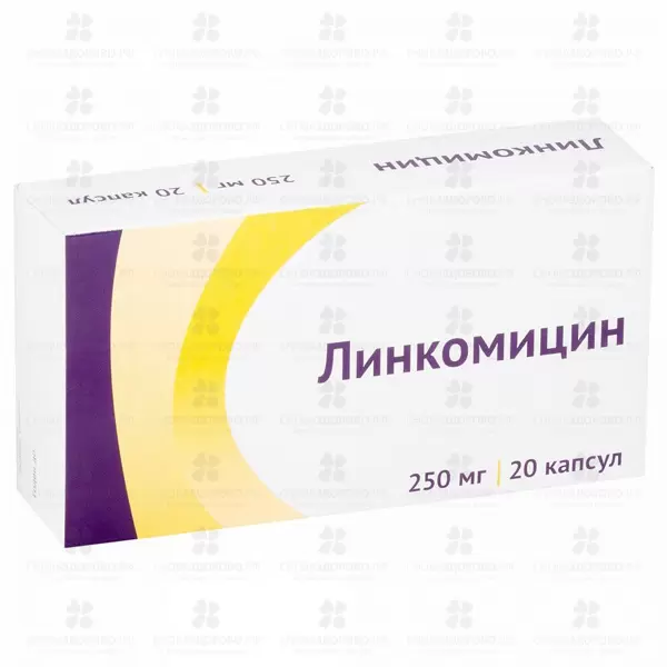Линкомицин капсулы 250 мг №20 ✅ 01753/06162 | Сноваздорово.рф