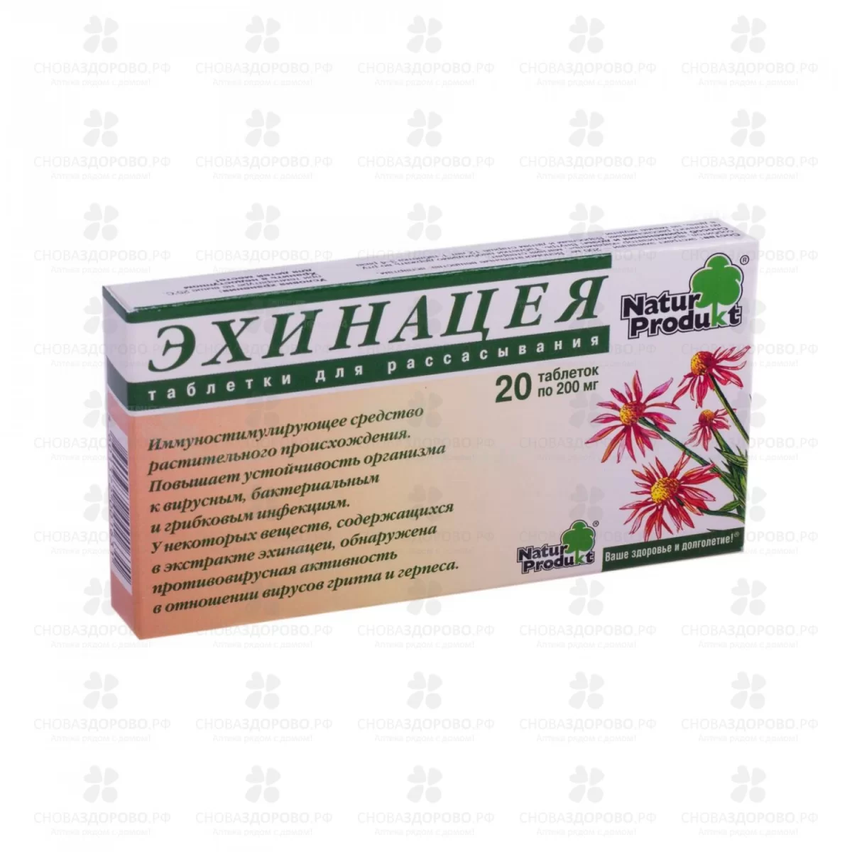 Эхинацея Натур Продукт таблетки для рассасывания №20 (БАД) ✅ 31064/06411 | Сноваздорово.рф