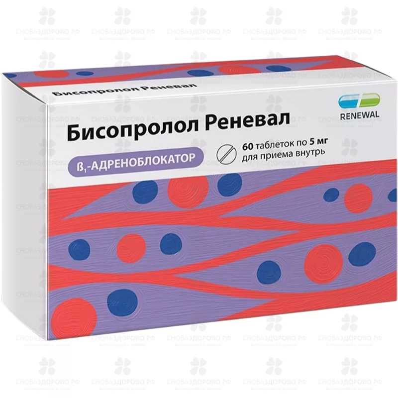 Бисопролол Реневал таблетки покрытые пленочной оболочкой 5мг №60 ✅ 43172/06158 | Сноваздорово.рф