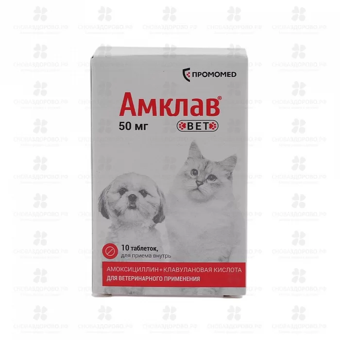 СноваЗдорово.рф: Амклав Вет Солютаб таблетки для приема внутрь 40мг+10мг №10 (д/кошек и собак)