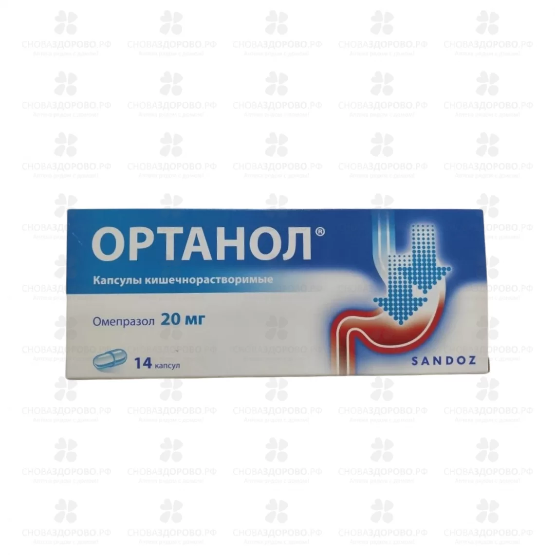 Ортанол капсулы кишечнорастворимые 20мг №14 ✅ 21338/06154 | Сноваздорово.рф