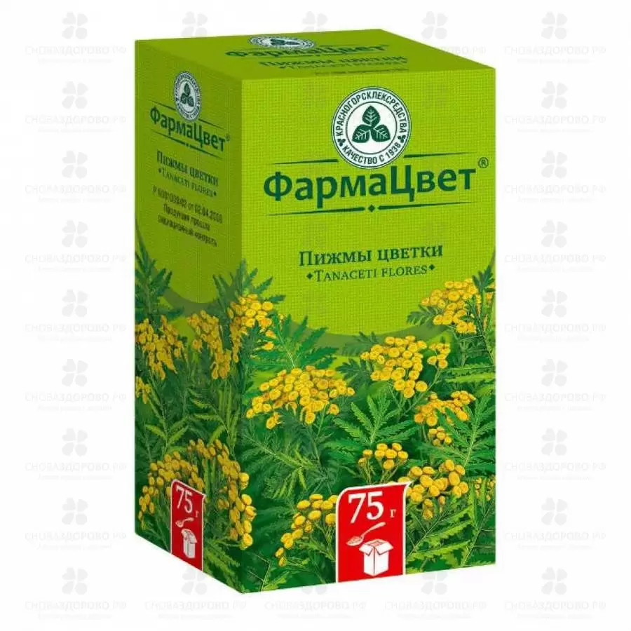 Пижмы цветки 75г (Красногорсклексредства) ✅ 25346/06798 | Сноваздорово.рф