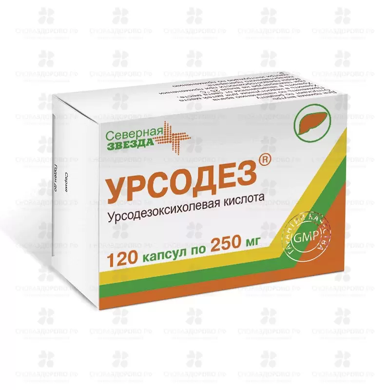 Урсодез капсулы 250мг №120 конт. яч. ✅ 33002/06886 | Сноваздорово.рф