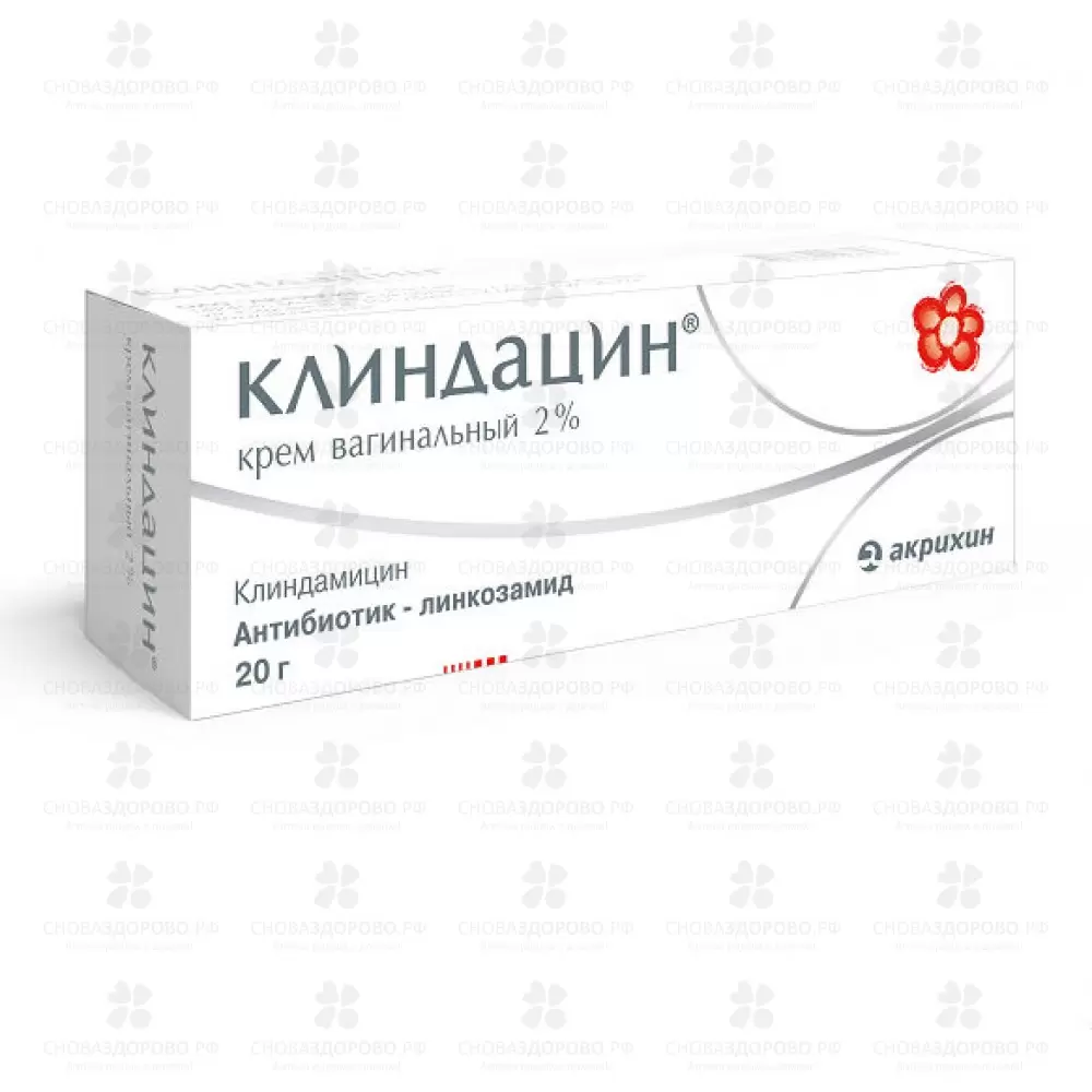 Клиндацин крем вагин. 2% 20г ✅ 16879/06065 | Сноваздорово.рф