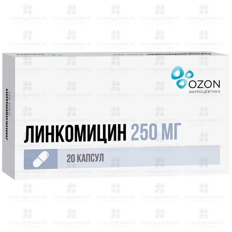 Линкомицин капсулы 250мг №20 ✅ 01753/06162 | Сноваздорово.рф