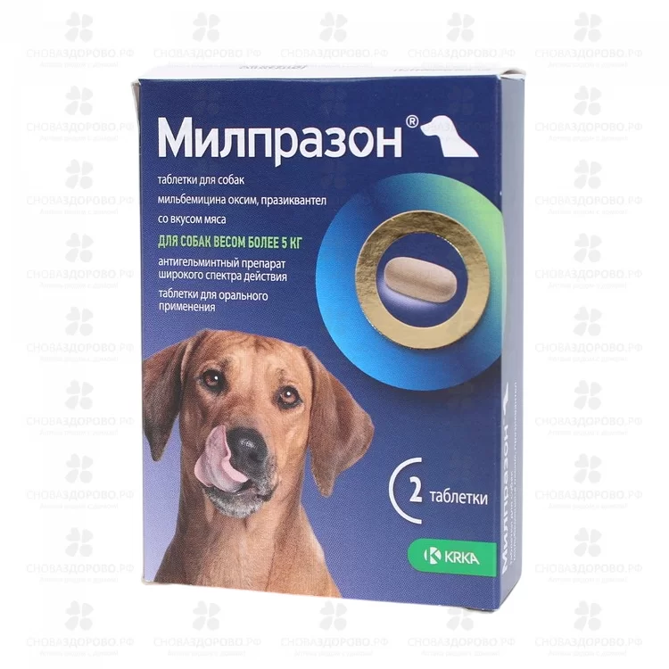 СноваЗдорово.рф: Милпразон таблетки 12,5мг/125мг №2 для собак крупных пород более 5кг (со вкусом мяса)
