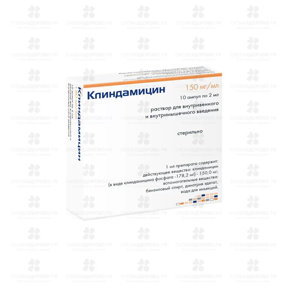 Клиндамицин раствор для внутривенного и внутримышечного введения 150мг/мл 2мл ампулы №10 ✅ 00487/06056 | Сноваздорово.рф