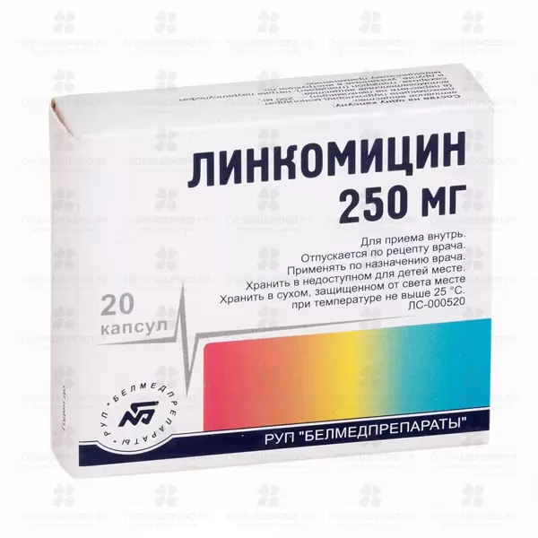 Линкомицин капсулы 250 мг №20 ✅ 01753/06715 | Сноваздорово.рф