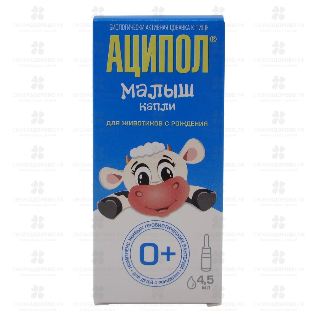 Аципол Малыш капли для внутреннего применения 4,5мл флакон/капельница (БАД) ✅ 31462/07044 | Сноваздорово.рф