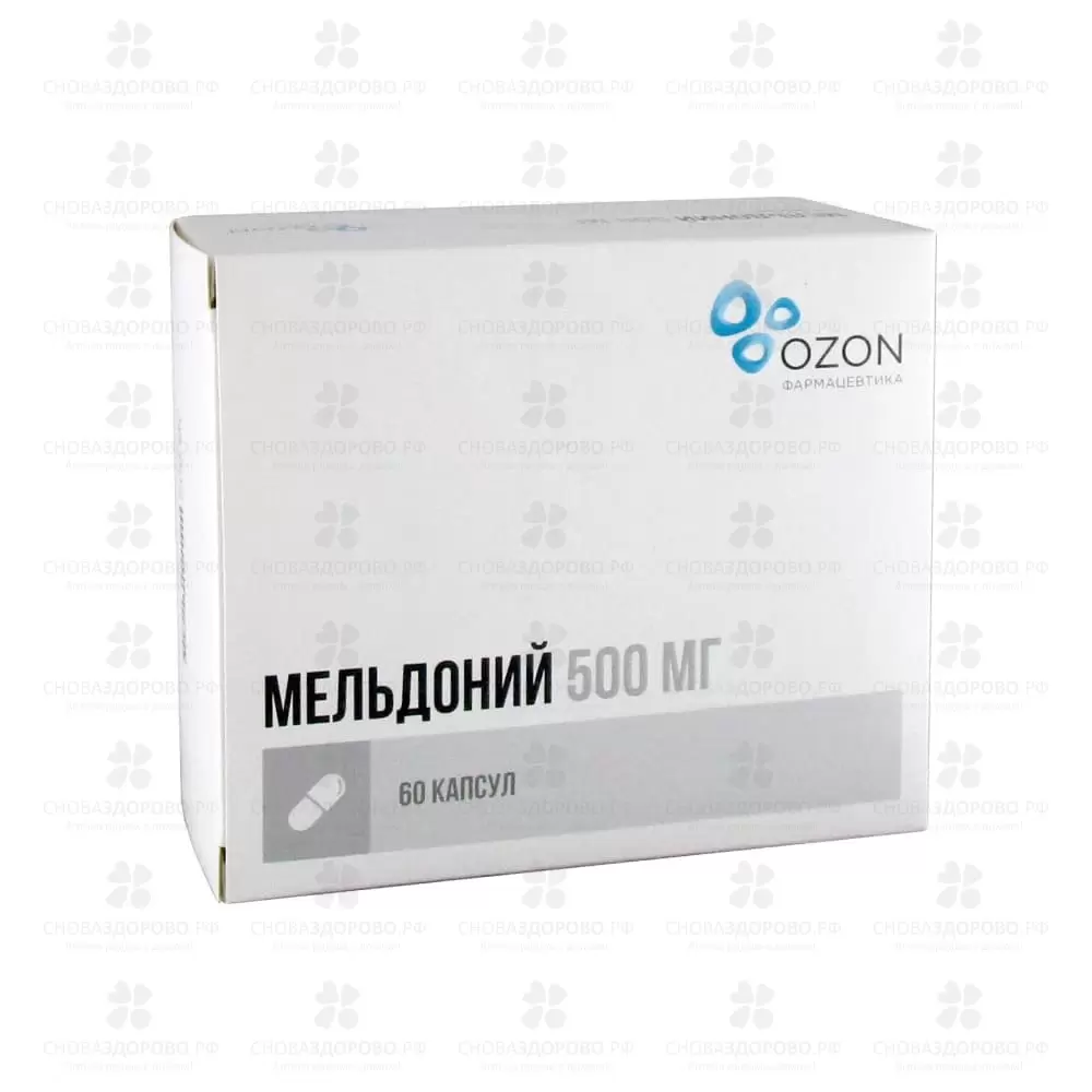 Мельдоний капсулы 500 мг №60 конт. яч. ✅ 10489/06162 | Сноваздорово.рф