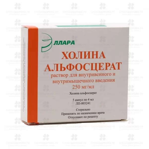 Холина альфосцерат раствор для внутривенного и внутримышечного введения 250мг/мл 4мл ампулы №5 ✅ 13515/06221 | Сноваздорово.рф