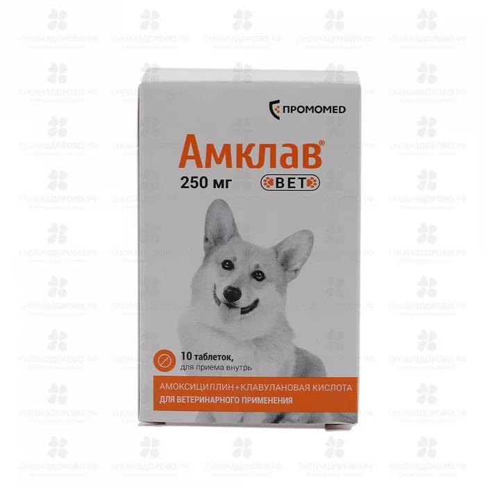 СноваЗдорово.рф: Амклав Вет Солютаб таблетки для приема внутрь 200мг+50мг №10 (д/собак)