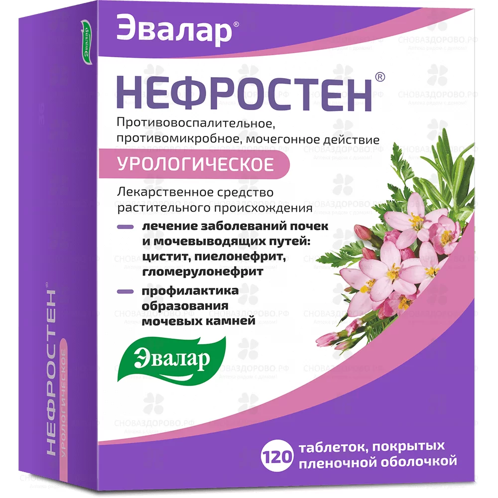 Нефростен таблетки покрытые пленочной оболочкой №120 ✅ 39016/06218 | Сноваздорово.рф