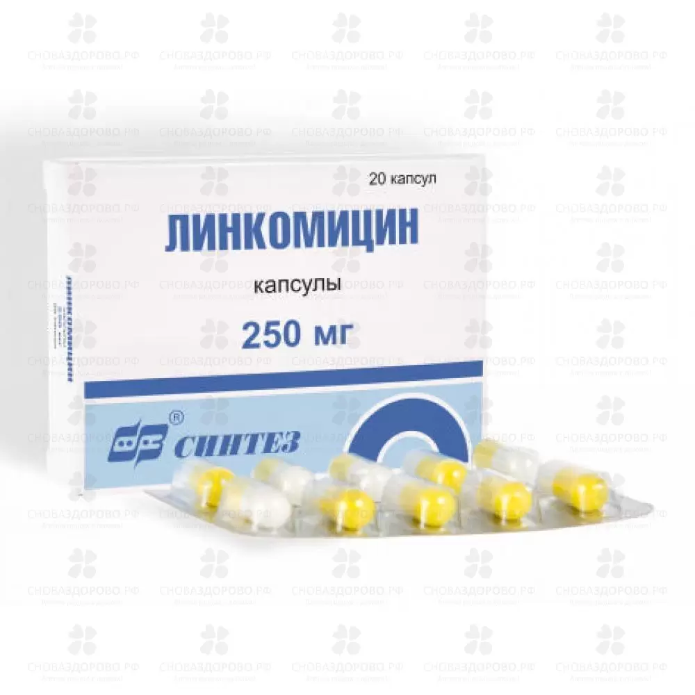 Линкомицин капсулы 250 мг №20 ✅ 01753/06188 | Сноваздорово.рф