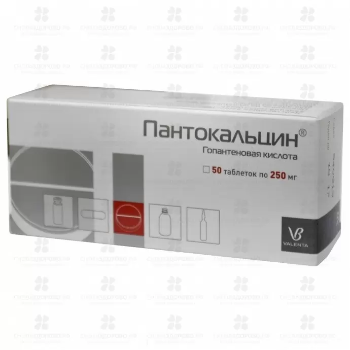 Пантокальцин таблетки 250 мг №50 ✅ 06521/06085 | Сноваздорово.рф