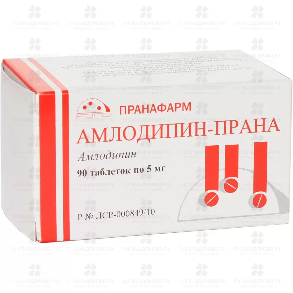 Амлодипин-Прана таблетки 5мг №90 ✅ 10492/06865 | Сноваздорово.рф
