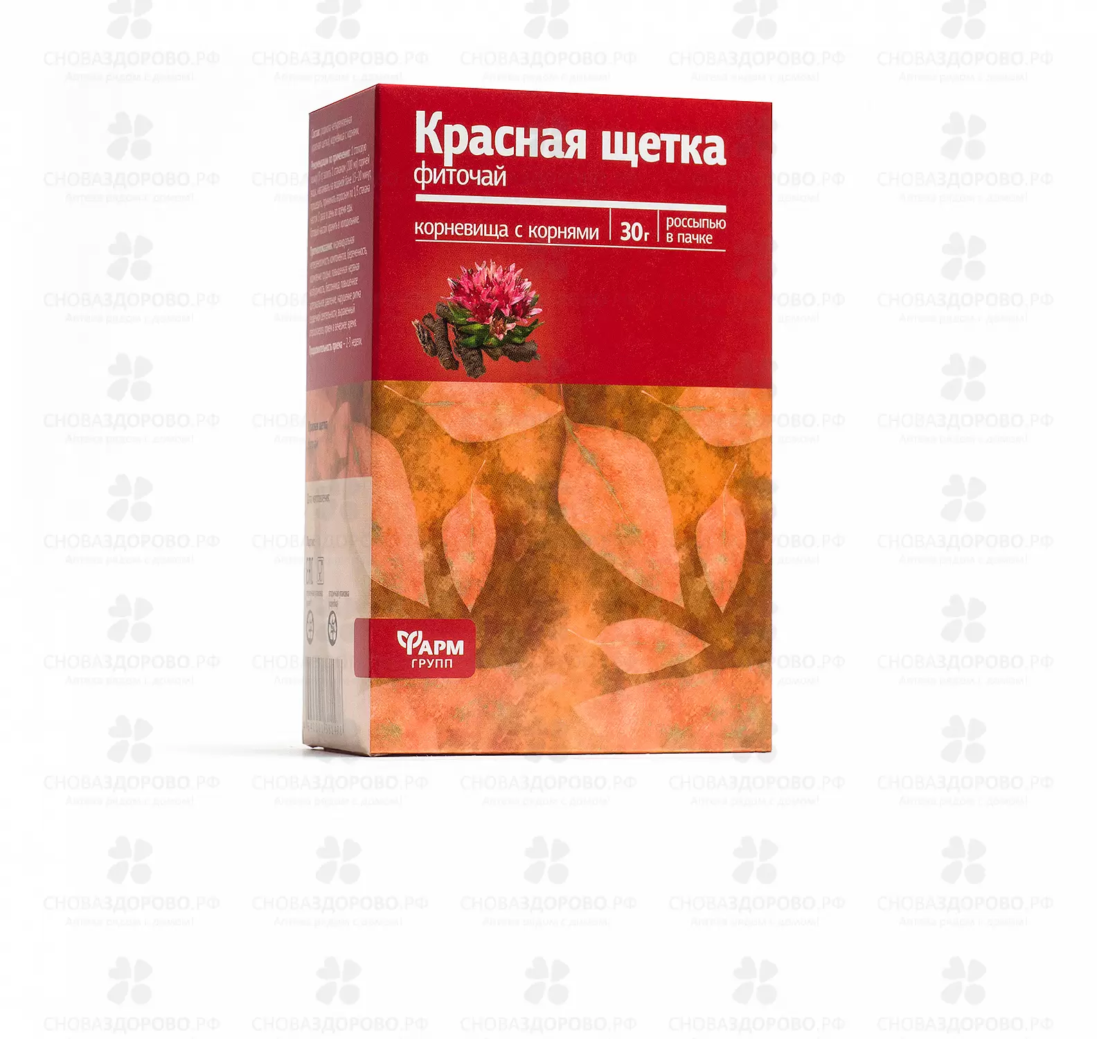 Красная щетка (корневища с корнями) 30г (БАД) ✅ 16032/07015 | Сноваздорово.рф
