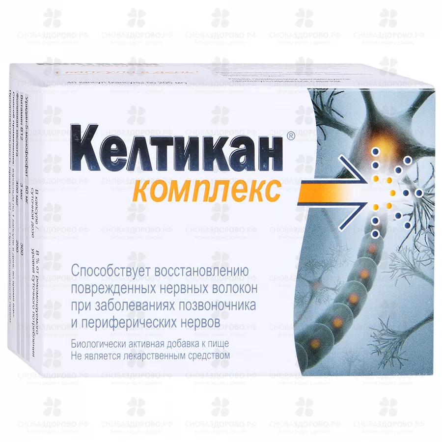 Келтикан Комплекс капсулы 205мг №40 (БАД) ✅ 29043/06974 | Сноваздорово.рф