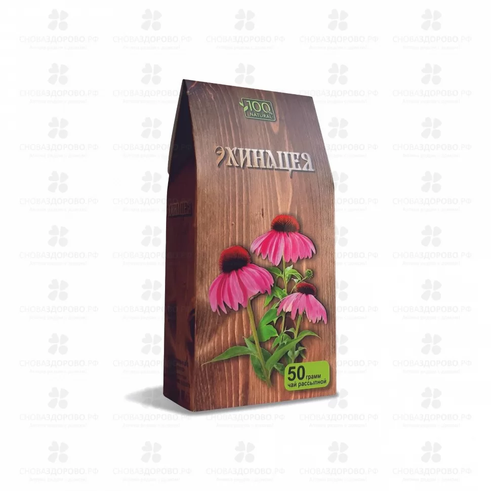 Эхинацея трава 50г (чайный напиток) ✅ 01710/06910 | Сноваздорово.рф