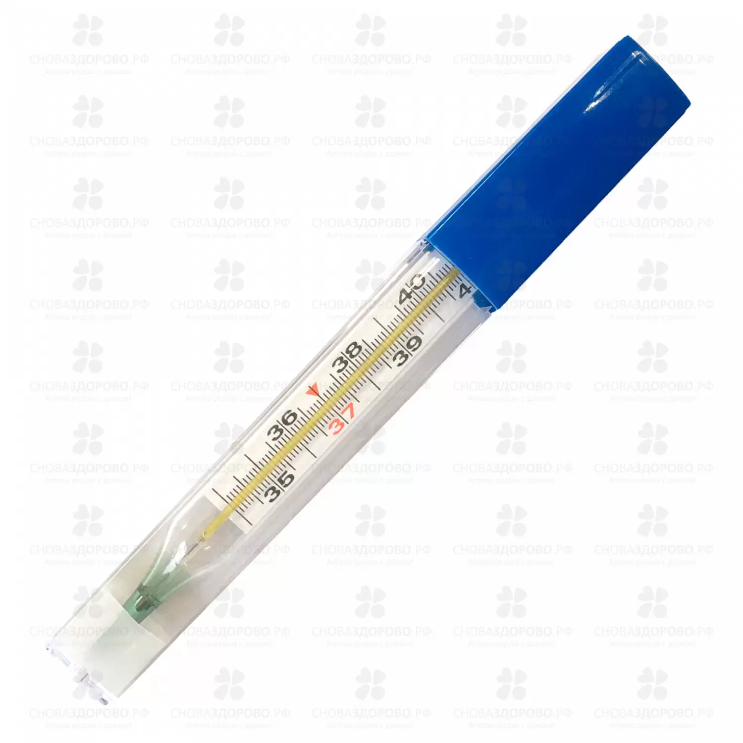 Термометр медицинский ртутный стеклянный в пластиковом футляре с защитным покрытием ✅ 17751/07774 | Сноваздорово.рф